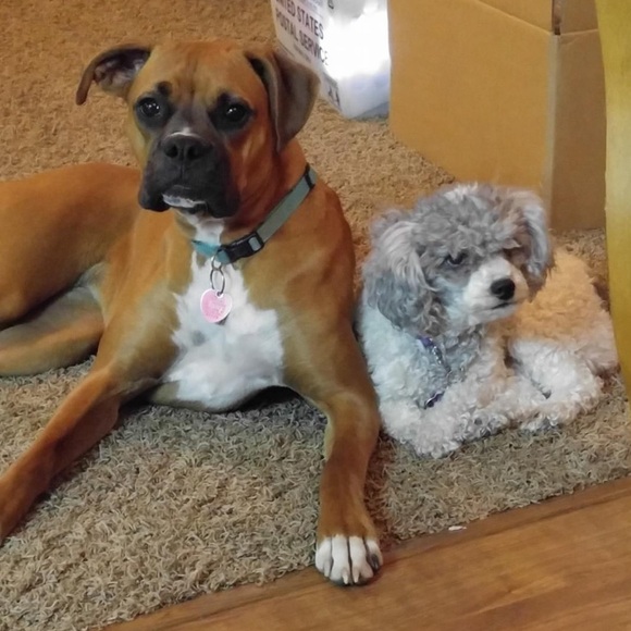 Up to 30% Off entire closet… don’t miss out! Make Me An Offer!! - Picture 9 of 15